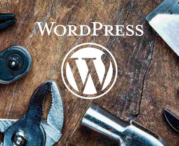 Assistenza Wordpress